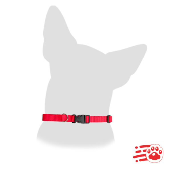 Collar En Reata Para Mascotas - Mayoristas - PetOutlet